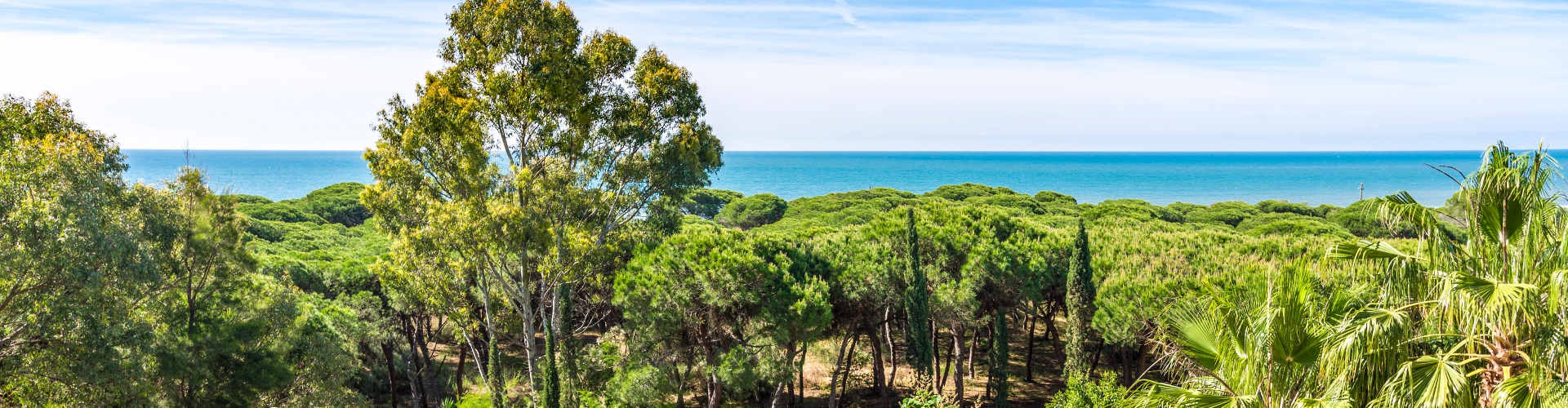 TUI BLUE ISLA CRISTINA PALACE - Isla Cristina, Huelva, Spain - TUI BLUE ISLA CRISTINA PALACE - Isla Cristina, Huelva, Spain -